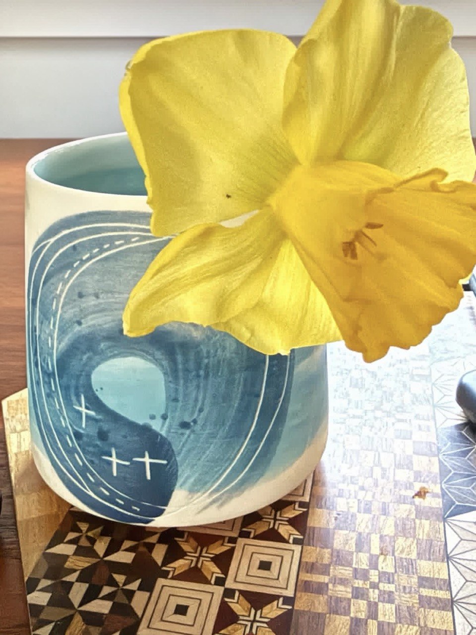 *Narcissus poeticus* (Recurvus), photographed in our Cupertino garden.