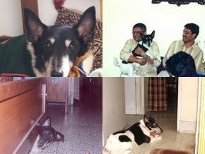 Chorki through the years